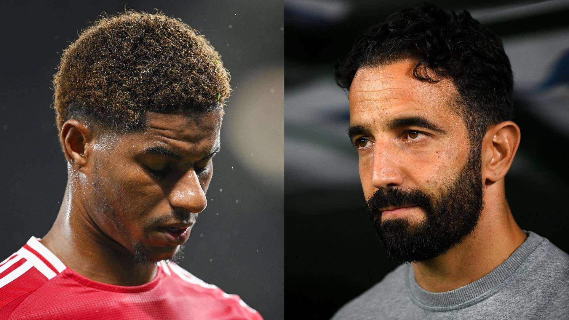 的努力方向 的努力方向